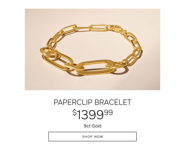 Paperclip bracelet