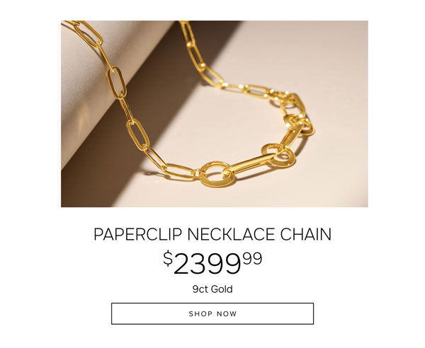 Paperclip necklace chain