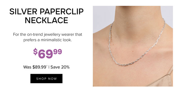 Silver paperclip necklace