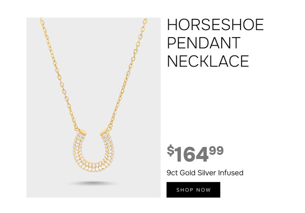 Horseshoe necklace