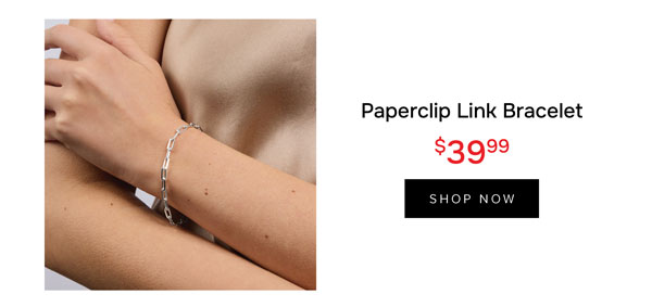 Paperclip Link Bracelet