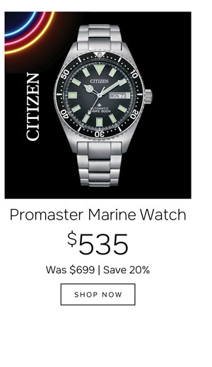 Promaster watch